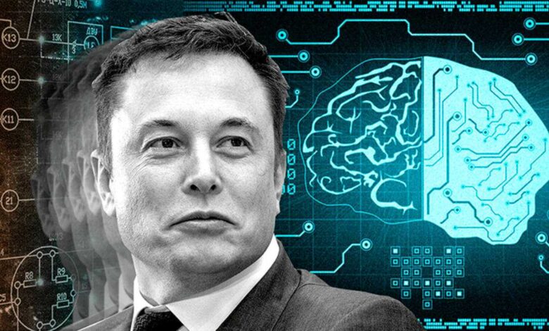What Is Elon Musk IQ