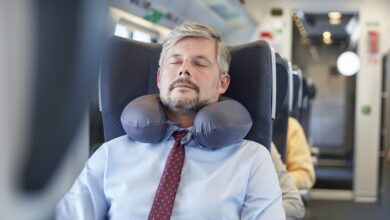 Best Travel Pillow